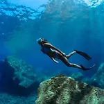 My House Urban Luxury 4*