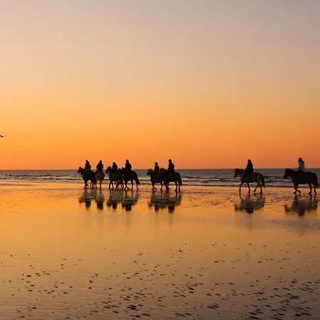 My House Urban Luxury Bed & Breakfast 4*