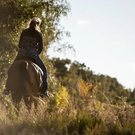 My House Urban Luxury 4* Reggio di Calabria