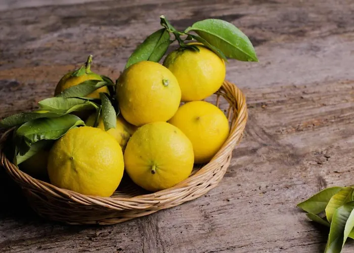 My House Urban Luxury Bed & Breakfast 4*