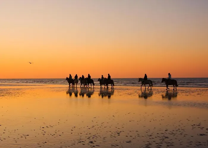 My House Urban Luxury Bed & Breakfast 4*