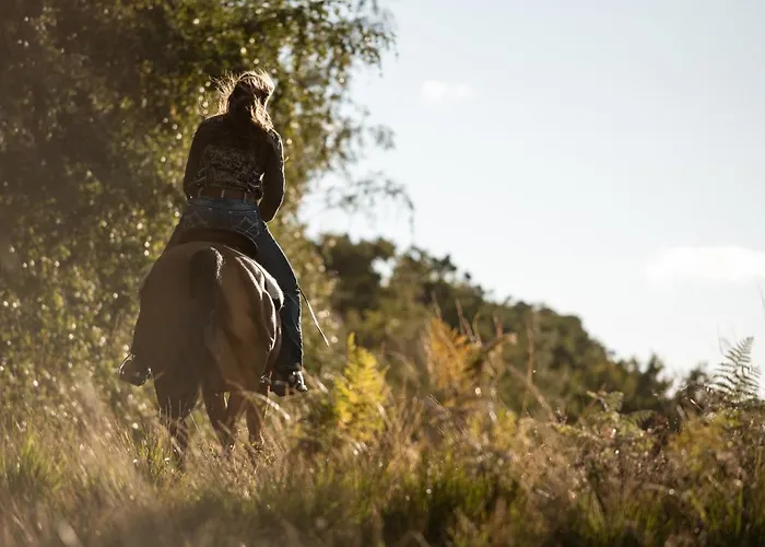 My House Urban Luxury 4* Reggio Calabria