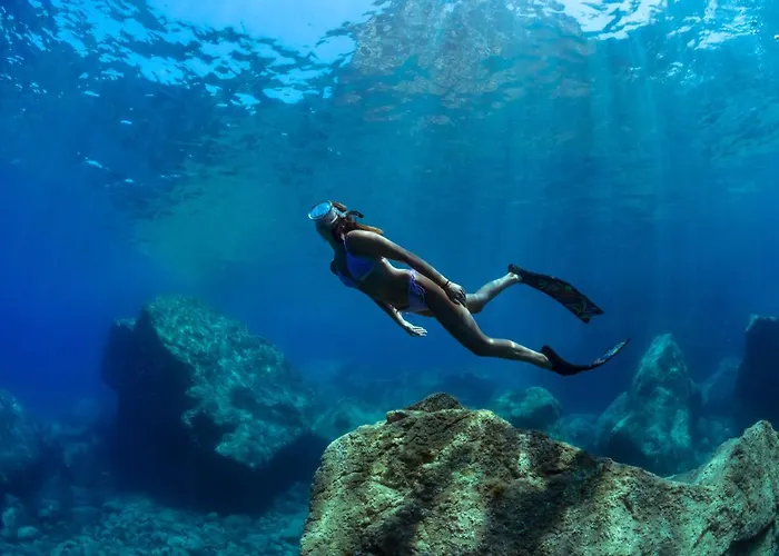 My House Urban Luxury 4*